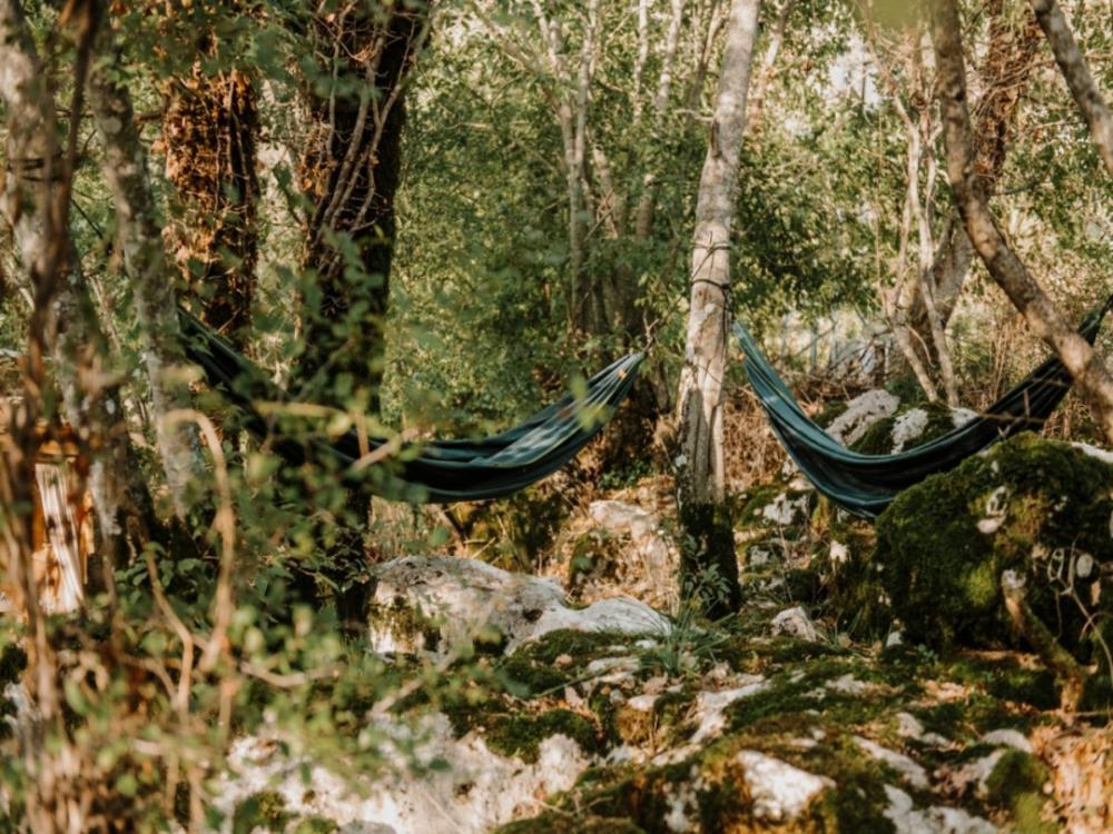 Hoopoe Glamping 호텔 비르파자르 외부 사진