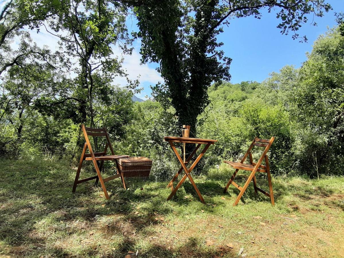Hoopoe Glamping 호텔 비르파자르 외부 사진