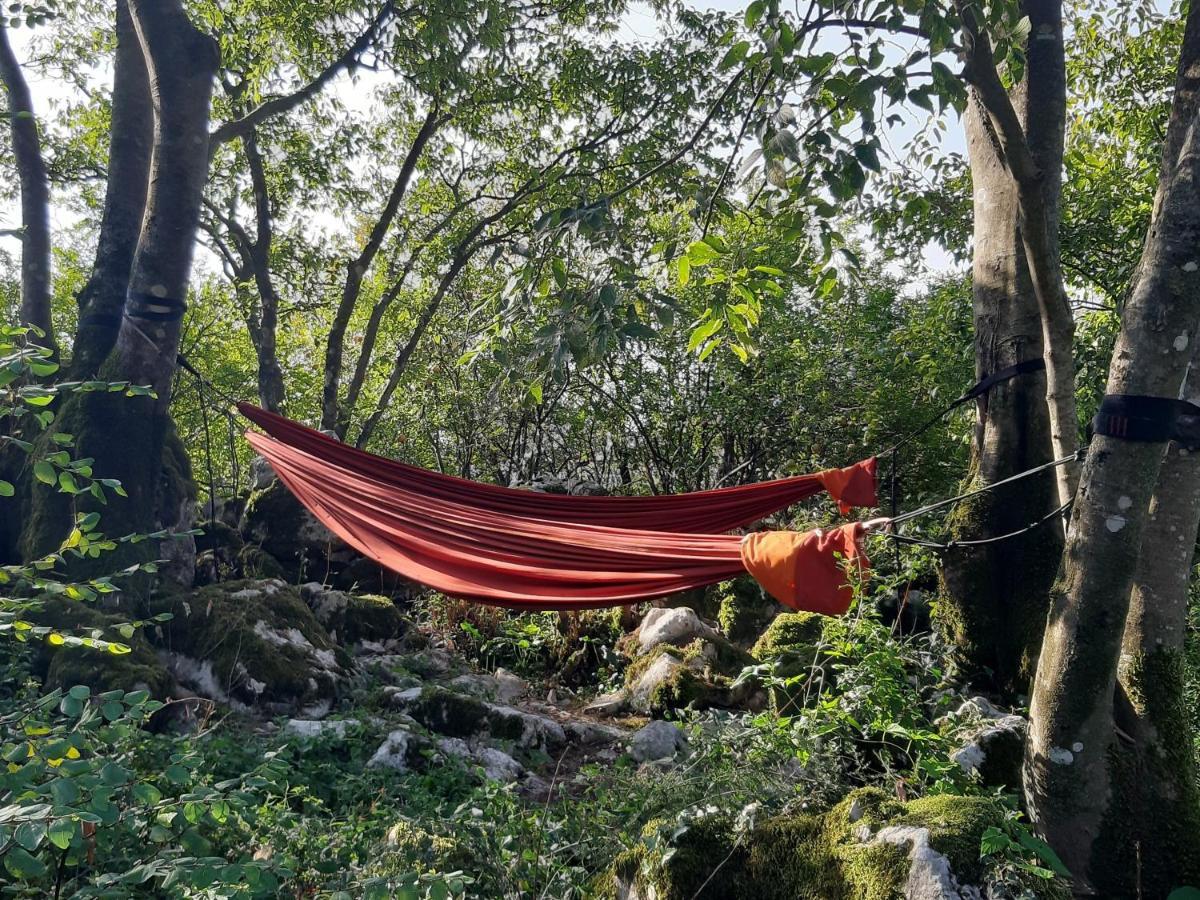 Hoopoe Glamping 호텔 비르파자르 외부 사진