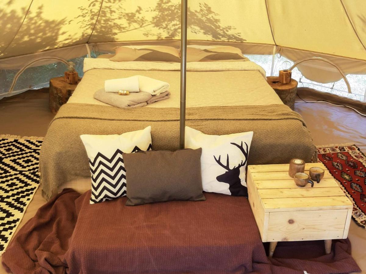 Hoopoe Glamping 호텔 비르파자르 외부 사진