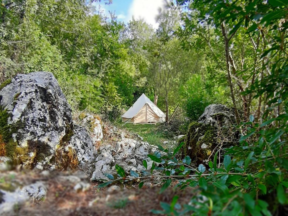 Hoopoe Glamping 호텔 비르파자르 외부 사진